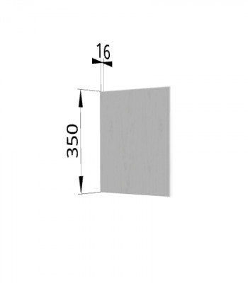 Панель торцевая (для шкафа горизонтального) ПГ Ройс (Графит софт) в Камне-на-Оби - kamen-na-obi.mebel54.com | фото