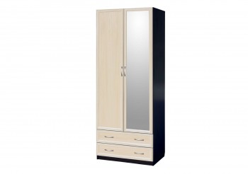 Шкаф для платья и белья 2-х дверный с профилем МДФ с 1 зеркалом Венге/Дуб выбеленный в Камне-на-Оби - kamen-na-obi.mebel54.com | фото