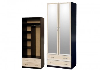 Шкаф для платья и белья 2-х дверный с профилем МДФ с 2 зеркалами Венге/Дуб выбеленный в Камне-на-Оби - kamen-na-obi.mebel54.com | фото