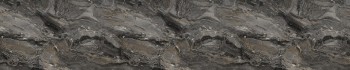 Стеновая панель (3050*600*6) 1U/Паладина 357/1 глянец в Камне-на-Оби - kamen-na-obi.mebel54.com | фото