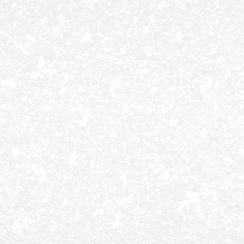 Столешница 3000*600/38мм (№ 63 Белый королевский жемчуг) в Камне-на-Оби - kamen-na-obi.mebel54.com | фото